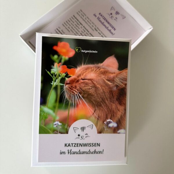 Aufbewahrungsbox für bis zu 3 Kartensets