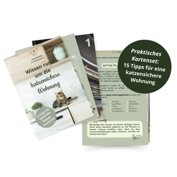 Die katzensichere Wohnung